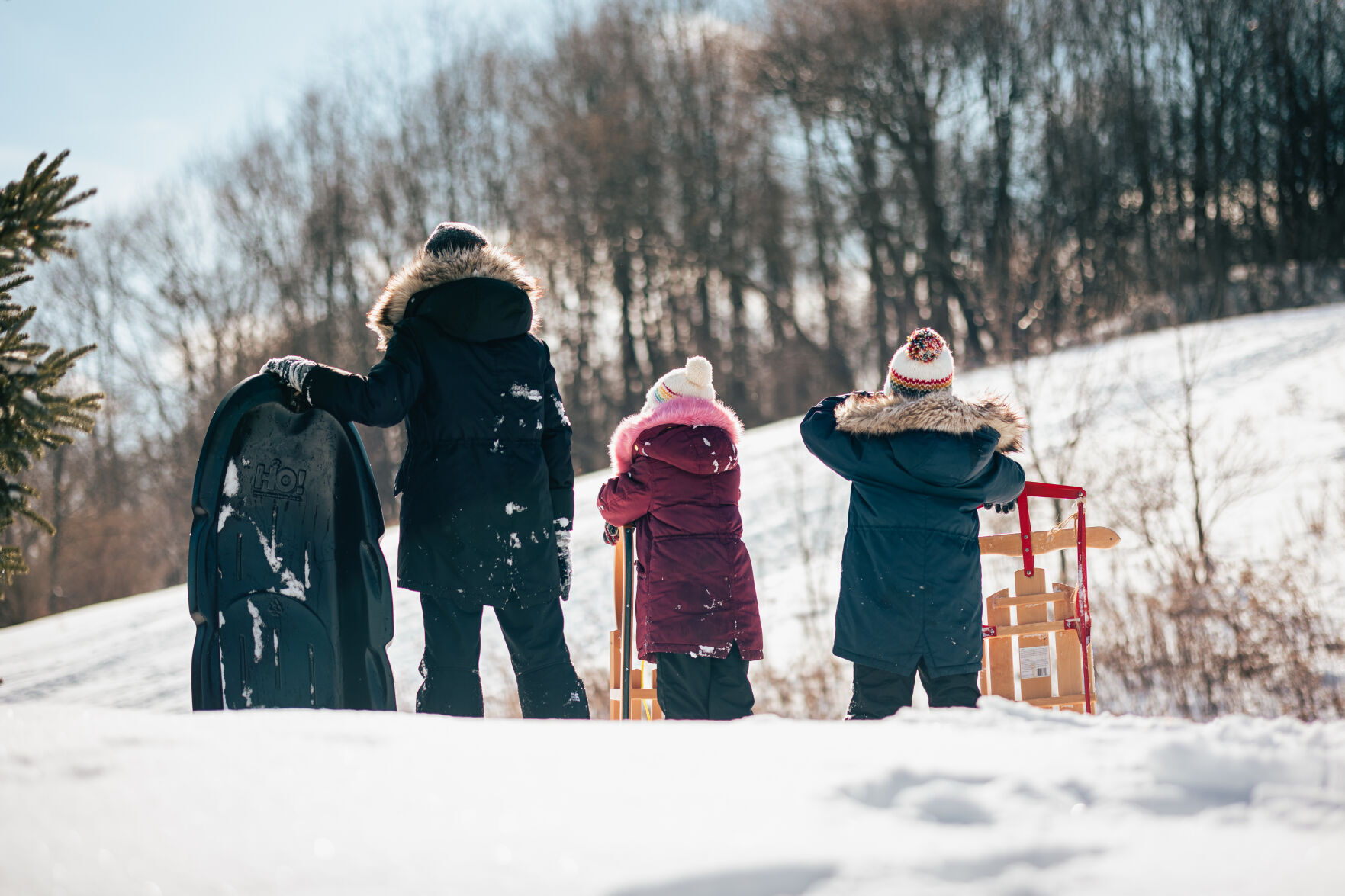 2021_Cayuga.County_Weedsport.NY_Sledding-14.jpg